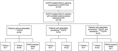 Detection of Low-Frequency KRAS Mutations in cfDNA From EGFR-Mutated NSCLC Patients After First-Line EGFR Tyrosine Kinase Inhibitors